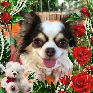 Meet your Posher, Lydia